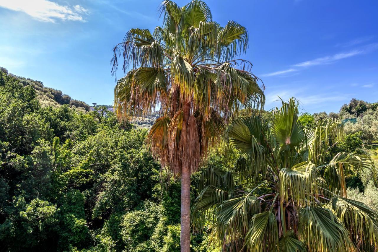Metropole Sorrente